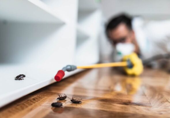 Pest Control Service Visit in Merriam: Quick Look at the Process